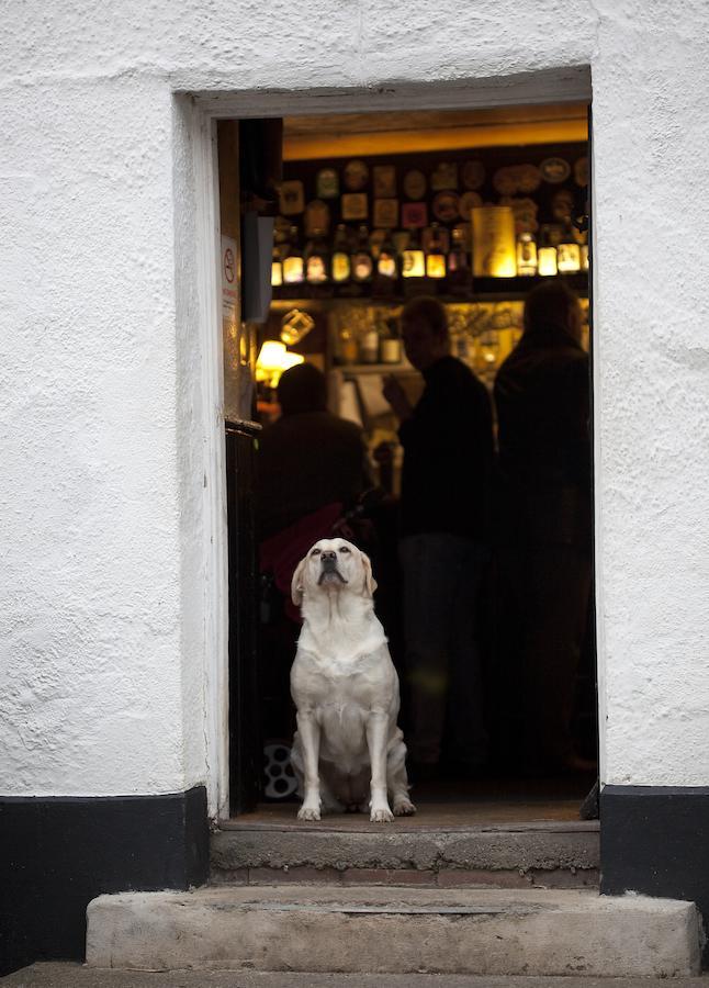 Duke Of York Hotel Dolton Esterno foto
